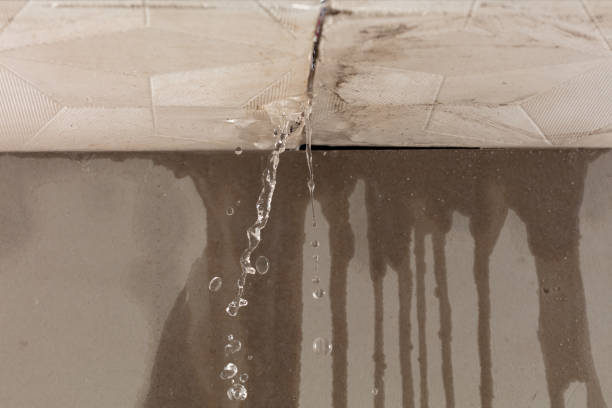 Professional Burst Pipe Cleanup technician working in Flint, MI